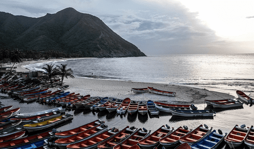 La Funvisis no ha reportado alerta de tsunami en Venezuela. La Funvisis no ha reportado alerta de tsunami en Venezuela.