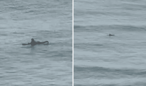 Un potente terremoto de magnitud 8,8 en Kamchatka, Rusia, activa alerta de tsunami, afectando a Hawái, Japón y otros países. Un potente terremoto de magnitud 8,8 en Kamchatka, Rusia, activa alerta de tsunami, afectando a Hawái, Japón y otros países.