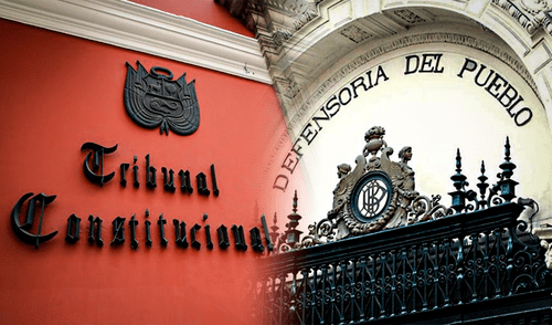 Tribunal Constitucional resolvió que la extensión de dominio rige a partir de 2018