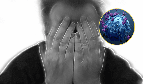 Los nanocuerpos ayudarían en nuevos tratamientos contra la esquizofrenia.