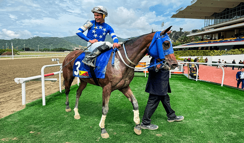 Si sacas 6 aciertos, te lleva un mejor monto en el 5y6 de La Rinconada.