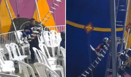 El Circo de los Hermanos Vásquez afirmó que, tras el incidente del 26 de julio, no presentan más espectáculos con animales.