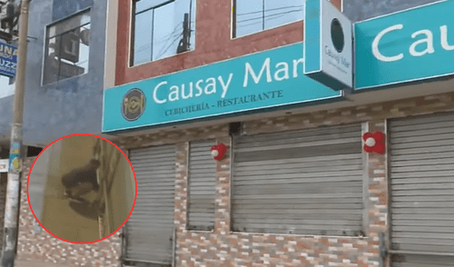 Detonan artefacto explosivo en cevichería 'Causay Mar' en Los Olivos.