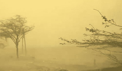 Ica: Viento Paracas se reporta en Ocucaje. Foto: Senamhi.