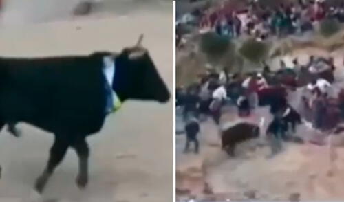 El toro terminó embistiendo a 3 personas, quienes resultaron heridas. Foto: Composición LR