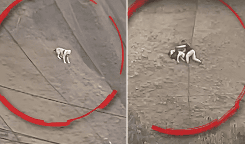 Trepó malla de acantilado para llegar hasta el can que se resbalaba.