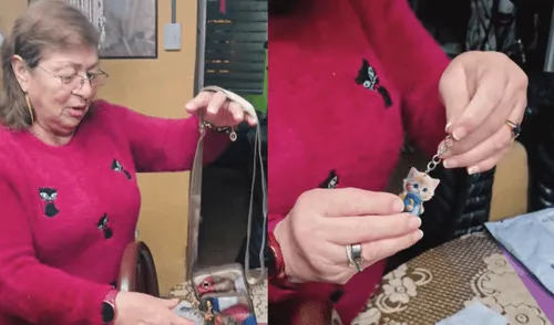 Peruana compra peluchito en Temu y su decepción se vuelve viral en redes