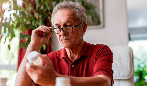 Los suplementos de prebióticos pueden mejorar la función cerebral en adultos mayores.