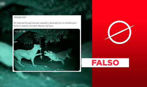 Inteligencia artificial y desinformación