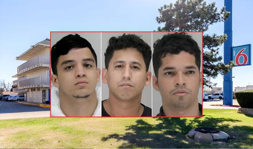 Los indocumentados cometieron diversos delitos en Estados Unidos.