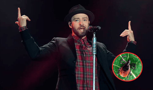 Enfermedad de Lyme afecta sistema nervioso y provoca inflamación en los ganglios linfáticos. Enfermedad de Lyme afecta sistema nervioso, provoca inflamación en los ganglios linfáticos y artritis.