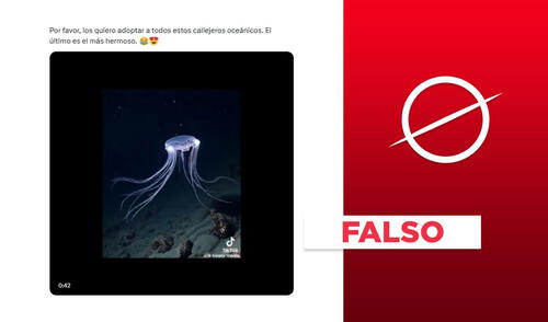 El video fue creado con IA. Foto: captura de X El video fue creado con IA