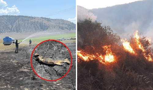 Un pez que cayó del cielo accidentalmente por una águila pescadora y origina incendio y una apagón en Ashcroft, Canadá. Un pez que cayó del cielo accidentalmente por una águila pescadora y origina incendio y una apagón en Ashcroft, Canadá.