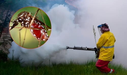 China enfrenta un brote de chikungunya: transmitido por mosquitos Aedes, provoca fiebre y dolor.