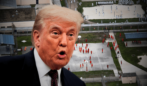 Jueza de Florida paraliza la construcción de Alligator Alcatraz y afecta el plan migratorio de Donald Trump. Jueza de Florida paraliza la construcción de Alligator Alcatraz y afecta el plan migratorio de Donald Trump.