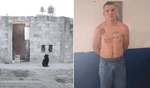 Hombre alimentaba a sus perros con restos humanos en Argentina: se trataría de un presunto asesino serial