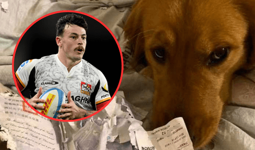 Leroy Carter casi no puede participar del campeonato de rugby en Argentina debido a que su perro se comió su pasaporte. Leroy Carter casi no puede participar del campeonato de rugby en Argentina debido a que su perro se comió su pasaporte.