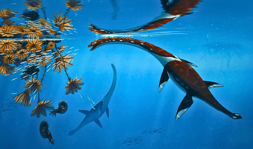 Plesionectes longicollum vivió en la edad toarciana temprana, según científicos.