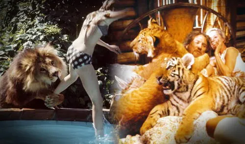 Este fue uno de los rodajes más peligrosos de la historia, incluyendo 70 ataques de felinos durante su grabación. Este fue uno de los rodajes más peligrosos de la historia, incluyendo 70 ataques de felinos durante su grabación.