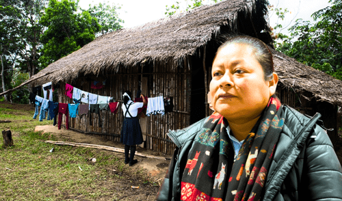 Casos de abuso sexual se incrementan en Condorcanqui, Amazonas: Foto: La República. Casos de abuso sexual se incrementan en Condorcanqui, Amazonas: Foto: La República.