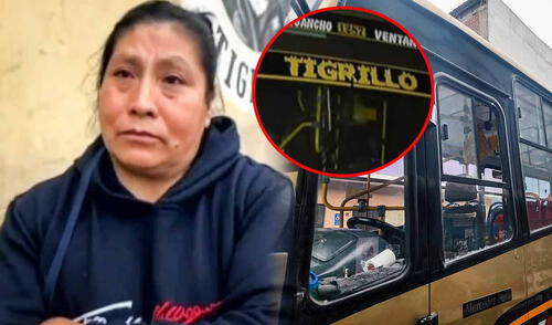 La madre del cobrador asesinado en SMP informó que los empresarios de 'Tigrillo' aún no han pronunciado sobre la muerte de su hijo. Madre de cobrador del bus 'Tigrillo' asesinado en SMP denuncia extorsión y culpa a empresa: "Voy a encontrar al responsable de su muerte'"