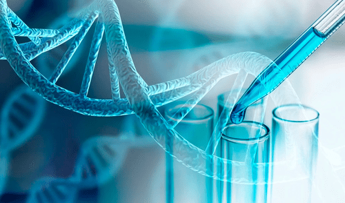 Un equipo de investigadores reveló genes que "provienen de la nada" y podrían ayudar en la lucha contra el cáncer.