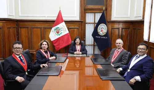 La votación se realizó en el Palacio Nacional de Justicia, presidida por Janet Tello Gilardi.