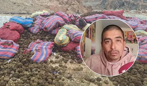 Dirigente Ernesto Cachi alertó de malas prácticas de empresas extranjeras y que operan sin control. Foto: Mirelia Quispe - La República / Difusión.