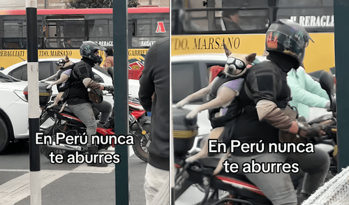 El hecho fue grabado mientras el joven conducía su moto y llevaba a su perro a cuestas.