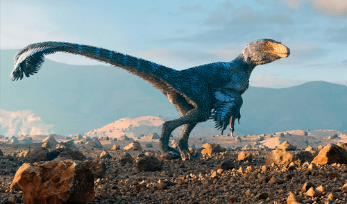 Las plumas crecían en diversas especies de dinosaurio desde hace más de 250 millones de años.