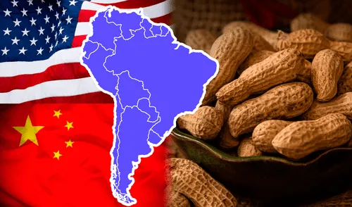 Argentina sembró 530.200 hectáreas de maní y logró un récord histórico. Foto: iStock Argentina - Exportador de maní - China - Estados Unidos