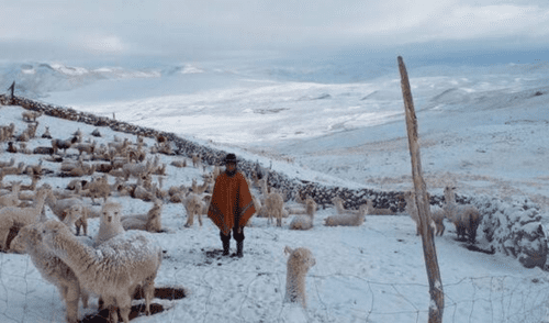 Se tiene previsto que este intenso frío estará hasta el mes de septiembre. Foto: Diario el Pueblo