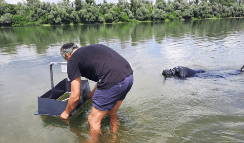 Arqueólogos descubren un tesoro de lingotes de la Edad del Hierro que estuvo oculto bajo un río durante más de 2.000 años