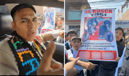 Franco Vidal ayuda a mujer a encontrar a su perro