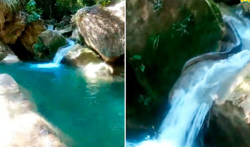 El turista decidió irse a divertir a otro rincón de Tingo María al hallar la enorme serpiente en el río. La serpiente de gran tamaño descansaba tranquilamente en la catarata Santa Carmen, según los usuarios en TikTok.