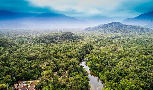 Rafael Belaúnde Llosa Rafael Belaúnde Llosa