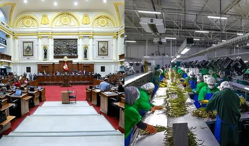 Congreso aprobó en segunda votación la nueva ley agraria que reduce impuestos a grandes agroexportadoras. Congreso aprobó en segunda votación la nueva ley agraria que reduce impuestos a grandes agroexportadoras.