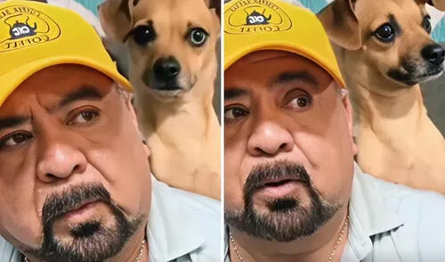 Un hombre decidió quedarse con su perro y no con su pareja, desatando comentarios divididos en redes sociales.