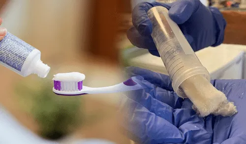 Una pasta dental hecha con queratina fortalecería el esmalte de los dientes.