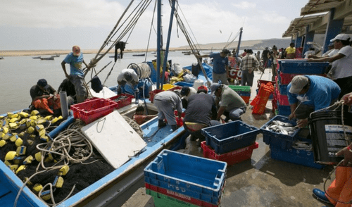 La Ley N.° 30003 (2013) creó un régimen especial de seguridad social para pescadores activos. Foto: Carlos Chuquin La Ley N.° 30003 (2013) creó un régimen especial de seguridad social para pescadores activos