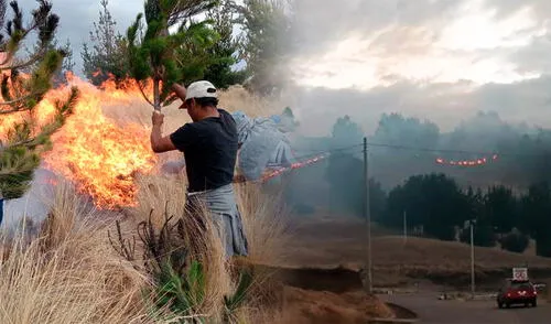 Incendios forestales en Ayacucho arrasan hectáreas en Chiara y Los Morochucos
