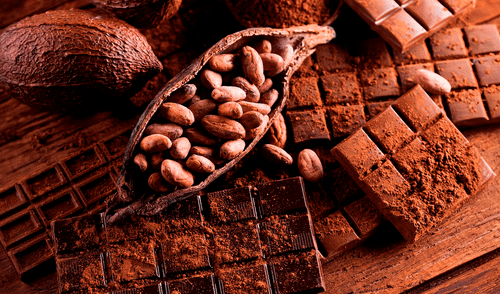 El sabor del chocolate podría estar determinado por la presencia de microbios durante la fermentación del cacao, según un estudio científico. El sabor del chocolate podría estar determinado por la presencia de microbios durante la fermentación del cacao, según un estudio científico.