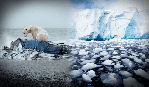 Las consecuencias por el cambio climático en la Antártida podrían afectar a todo el mundo.