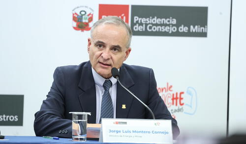 De un total de 13 temas para la Ley Mape, la mesa técnica conformada por el gobierno y gremios llegó a acuerdos en 11 de ellos. Foto: PCM Minem