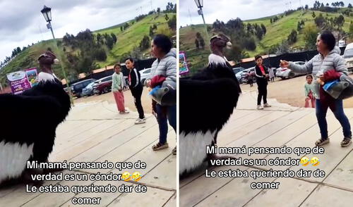 Clip viral de TikTok muestra a adulta mayor intentando alimentar al hombre disfrazado de cóndor