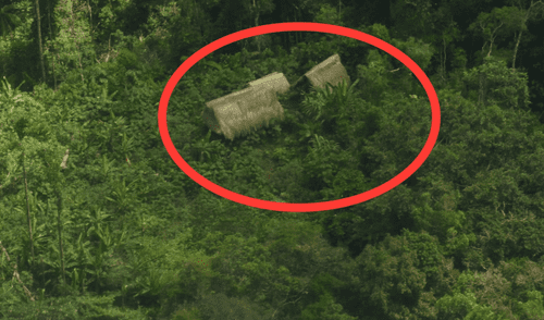 La Reserva Indígena Yavarí Mirim abarca un área solicitada de 1’378,444 ha, ubicada en áreas remotas de Loreto.