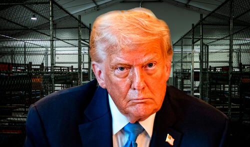 Alligator Alcatraz no podrá tener más inmigrantes arrestados por el Gobierno de Donald Trump en Estados Unidos.