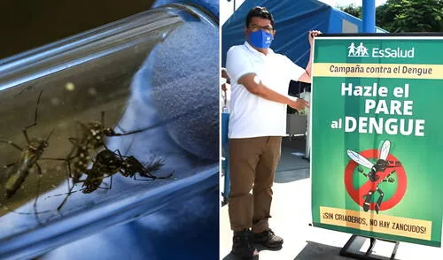 Minsa expone estrategia para frenar el dengue en Lima Norte.