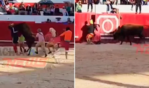 ‘Pompín’ cayó y se golpeó la cabeza, lo que derivó en un traumatismo encéfalo craneano. Una celebración por la festividad de la Virgen de Alta Gracia en La Libertad terminó en accidente cuando una vaca embistió a un artista del elenco ‘Bufolandia’ en la Plaza de Toros de Huamachuco.