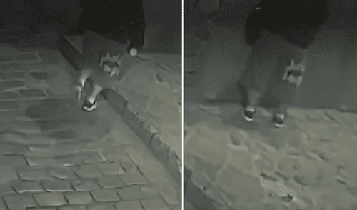 Cámaras de seguridad registraron ataque contra patrimonio cultural.